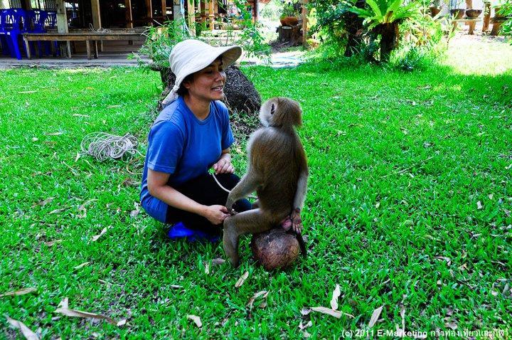 Ruean Thai Nai Bang By Pansak Resort Surat Thani Buitenkant foto